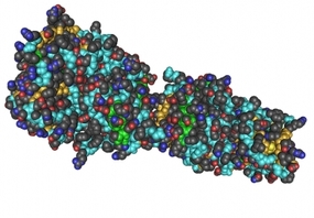 Massachusetts Institute of Technology – Nanoparticles amplify cancer tumor signals – detection in the urine